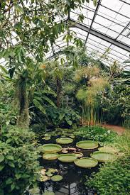 Dundee University Botanic Garden From The Haarkon Greenhouse Tour Indoorgardening Communitygar In 2020 Modern Garden Landscaping Modern Garden Garden Architecture