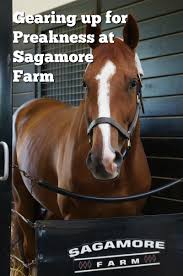 The backup test likely won't yield results until. Gearing Up For Preakness At Sagamore Farm All Things Fadra