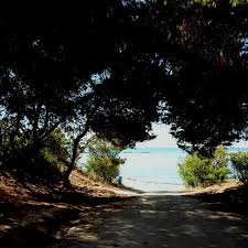 Una Cala Donde Disfrutar El Dia En Familia Para Acceder A La Misma Hay Una Pinada Donde Si Estas Muy Atento P Chiringuito Playa Chiringuitos Playas Alicante