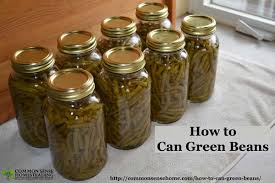Using less beef bouillon might have helped. How To Can Green Beans Step By Step Instructions For Canning Green Beans