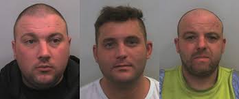 Trio travelled 100 miles to steal from lorries