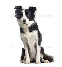 Pin On Merchandise Design Behance