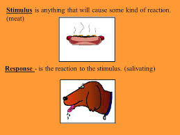Psychology Learning Ppt Video Online Download