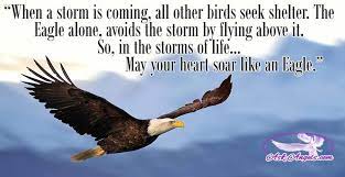 The eagle is the only bird that, in order to avoid the rain, soars above the rain clouds. Ask Angels Com Timeline Photos Facebook Eagles Quotes Words Of Courage Biblical Quotes