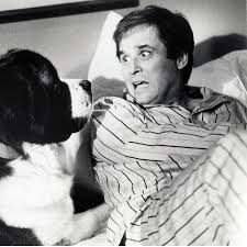 Charles grodin (born april 21, 1935) is an american actor, comedian, author, and former television talk show host. 9p2uh3hj56np4m