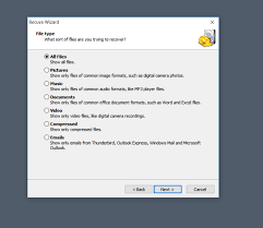 100% safe and virus free. Recuva Download Kuyhaa