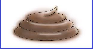 We did not find results for: Mimpi Tahi Kotoran Menurut Al Qur An Assunnah