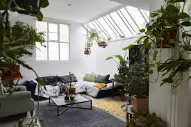 Your online indoor plants nursery and pots store. My Modern House Photographer Steph Wilson On Living With Pomeranians Parrots And Plant Filled Interiors