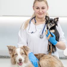 We cover all your pets needs. Apply Now Careers