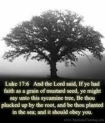 Pin On Scripture To Hide In My Heart