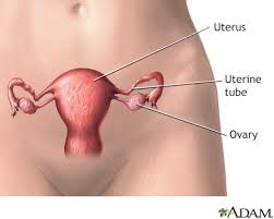 As such, the insensitivity to androgens is only clinically significant when it occurs in individuals with a y chromosome or, more specifically, an sry gene. Androgen Insensitivity Syndrome Information Mount Sinai New York