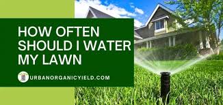 Likewise, not everyone knows how the soil affects the efficacy of water. How Often Should I Water My Lawn With Sprinkler System