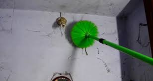 Download lagu labah labah mp3 gratis dalam format mp3 dan mp4. Cara Menghilangkan Sarang Laba Laba Di Rumah Rancangan Desain Rumah Minimalis