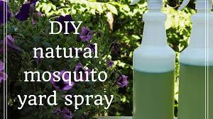 You can make your own homemade spray for the yard using ingredients you probably already have. How To Make Homemade Organic Mosquito Yard Spray Dengarden