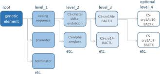 Plasmids are circular pieces of dna that can be used to carry foreign dna into cells such as bacterial. Gmo Genetic Elements Thesaurus Gmo Get A Controlled Vocabulary For The Consensus Designation Of Introduced Or Modified Genetic Elements In Genetically Modified Organisms Bmc Bioinformatics Full Text