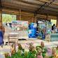 Fort Pierce Downtown Farmers Market event image