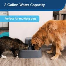The square fountain design is large enough for several pets to drink. Petsafe Drinkwell 2 Gal Pet Fountain Pww00 16468 At Tractor Supply Co
