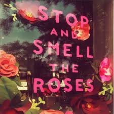 The Write Mind Studio Flower Shop Display Gift Shop Displays Valentines Window Display