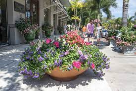 Maybe you would like to learn more about one of these? Weekend Events Naples Fl November 29 December 1 2019 Sonja Pound