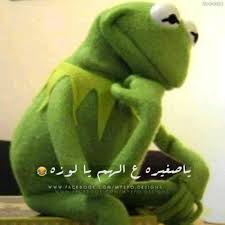 Pin By Duaa 24 On رمزيات الضفدع كامل Funny Arabic Quotes Funny Comments Arabic Funny