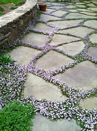 Einfache Landschaftsgestaltung Dekorieren Sie Ihren Garten Auf Originelle Weise In 2020 Landschaftsgestaltung Landschaftsbau Patio Garten