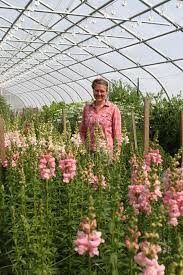 Why not make this six flowers that start with g part of your next special event? Overwintering Flowers Method Recommendations From Johnny S Seeds