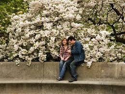 The historic brooklyn neighborhood is rich in culture, and the excitement of manhattan is only 15 minutes away by subway or car. Brooklyn Botanic Garden Attractions In Prospect Park New York Kids