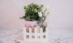 Hier findest du tolle garten geschenke für gärtnern und gartenliebhaber. Die 5 Besten Garten To Go Geschenke Lieblingsgeschenk