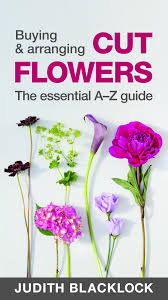 We did not find results for: Buying Arranging Cut Flowers The Essential A Z Guide Amazon Co Uk Blacklock Judith 9780993571503 Books