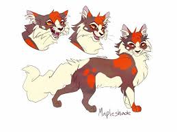 Mapleshade Warrior Cats Fan Art Warrior Cats Warrior Cat Drawings