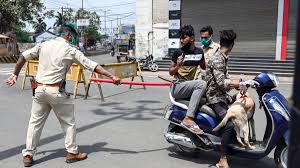 So haben es andere länder gemacht. Lockdown Violators To Take Care Of Coronavirus Patients Says Rajasthan Admin
