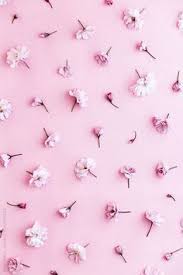 730 Cute Prints Patterns Design Phone Wallpapers Ideas Prints Pattern Wallpaper Pattern Design Better yet, download a few options, in case you want to switch them out. 730 cute prints patterns design