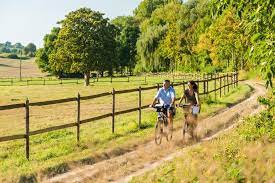 von der pfalz bis an den rhein mit dem fahrrad selztalradweg fuhrt uber alzey nieder olm und ingelheim rheinhessen rheine touren