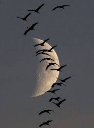 Pin By Kemily Ribeiro On Sunsets Sunrise Moons Beautiful Moon Moon Pictures Beautiful Nature