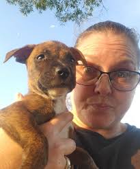 PAPS is a newly formed student led organization that is dedicated to  working with Pothounds Against Pregnancy in the sterilization of dogs and  cats in Grenada. PAPS' goal is to leave a