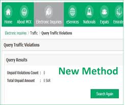 Check Traffic Violation Details Online Traffic Traffic Fines Violations