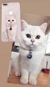 Get Your Pet Or Any Person Hand Drawn On A Transparent Phone Case Now Www Northlegends Com Cat Cats Catlover Catslover Catl Animal Phone Cases Cat Gifts Cat Love