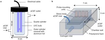 Also explore over 134 similar quizzes in this category. Extending The Viability Of Acute Brain Slices Scientific Reports