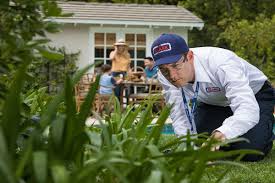Clark pest control is your trusted local pest control company and offers free contactless estimates. 5 Best Exterminators In San Diego
