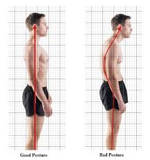 Image result for Posture