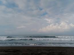 Pantai cemara sewu jetis cilacap with cheerson cx20 youtube pantai cemara sewu keindahan wisata alam di selatan kabupaten Menikmati Keindahan Pantai Jetis Di Pesisir Selatan Kabupaten Purworejo Halaman All Kompasiana Com