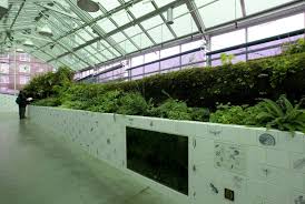Neukom Vivarium – Works – eMuseum