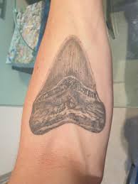 Megalodon Tooth By Ellie At The Cheshire Tattoo Studio Wilmslow Tattoo