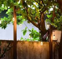 S14 Bulbs Faceted Glass for Indoor Outdoor Lights – St ...