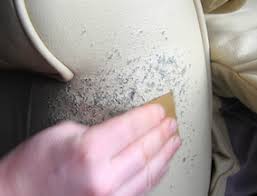 To fix the rip, you're going. How To Repair Cat Scratches On Leather E Learning
