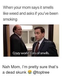 25 Best Memes About Smells Like Weed Smells Like Weed Memes