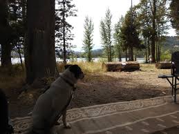 With over 17 years of knitting and crafting experience, jen helps educate. Webber Lake Campground The Dyrt