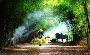 Tổng Hợp Hình Nền Quê Hương, Đất Nước Việt Nam Đẹp Nhất -  Lovablemessages.com