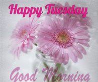 Apr 09, 2020 · to this day, friday remains a favorite day and a popular one in pop culture. Inspirational Tuesday Quotes Pictures Photos Images And Pics For Facebook Tumblr Pinterest And Twitter