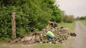 Haben sie etwas für ihren garten gefunden? Totholz Steine Wildblumen Beet Fur Insekten Querbeet Br Fernsehen Fernsehen Br De